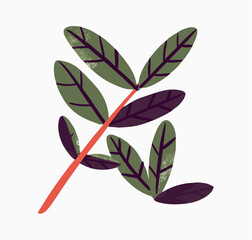 Illustrated Green and Purple Leaves Branch