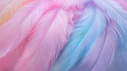 Fototapeta premium Soft Pastel Feathers in Light Pink and Blue Color Palette Background