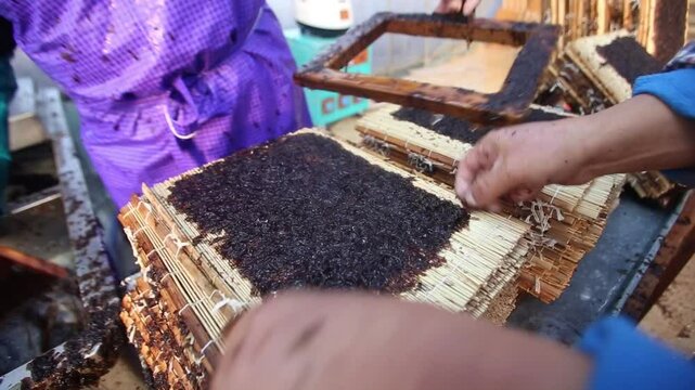 Seaweed harvesting and traditional processing in Korea-004

