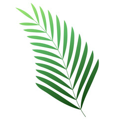 Palm Leaf Decoration