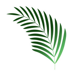 Palm Leaf Decoration