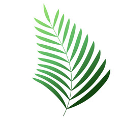 Palm Leaf Decoration