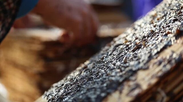 Seaweed harvesting and traditional processing in Korea