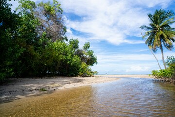 Fototapeta na wymiar Serene Tropical Beach Scene