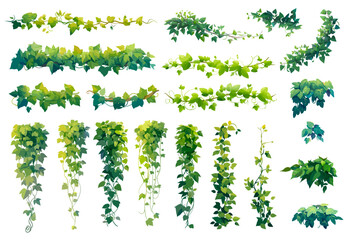 Plakat Jungle liana. Cartoon tropical branch vine, creeper green leaves plant wall climber set vector illustration