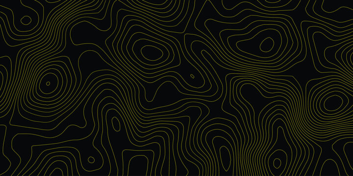 Background of the topographic map. Topographic lines, contour background. topo map texture. Dense lines, Background of the topographic map. Topographic lines texture.