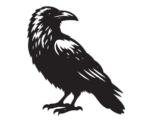 Raven 1.eps