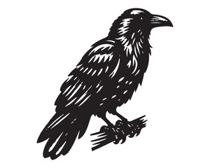 Raven 4.eps