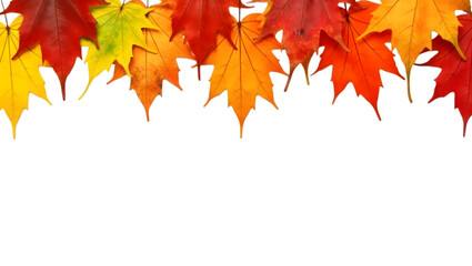 Autumn maple leaves border on black background