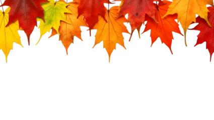 Autumn maple leaves border on black background