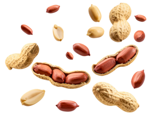 peanuts floating falling isolated on white or transparent png