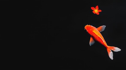 Golden koi dances with fiery blossom