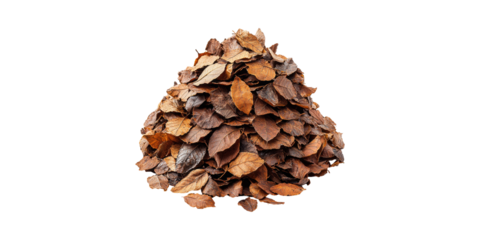 Pile Of Dry Autumn Leaves. Seasonal Change And Natural Decay Concept Isolated On Transparent Background