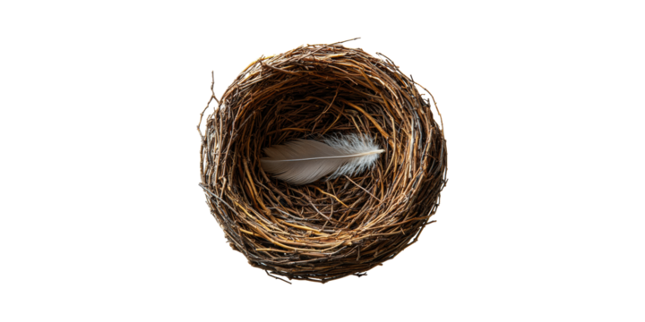 Empty Bird'S Nest With Feather. Symbol Of Home, Nature, And New Beginnings Isolated On Transparent Background