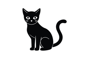 black and white cat