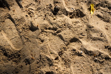 Footprint in sand close-up. Texture, details, and small objects visible. Perfect for nature, beach, travel themes.