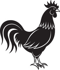 rooster isolated on white background