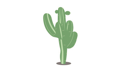 Cartoon Cactus Illustration, Green Wild Cactus Isolated on White Background, Cactus Vector.