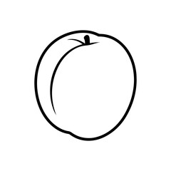 Apricote outline vector flat illustration design.