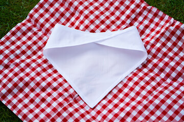 Obraz premium White Fabric on Red Gingham Picnic Blanket