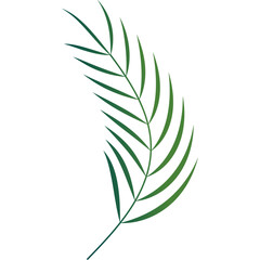 Fototapeta premium Palm Leaf Decoration