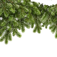 Obraz premium Festive Winter Pine Branches with Snow , isolated on white background png