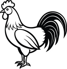 rooster isolated on white