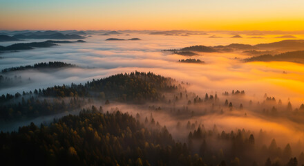 Fototapeta premium photo of a foggy morning in the mountains with a sea of clouds and pine forest 