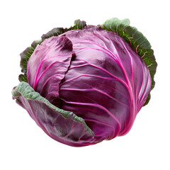 Obraz premium Red Cabbage Isolated on PNG Transparent Background 