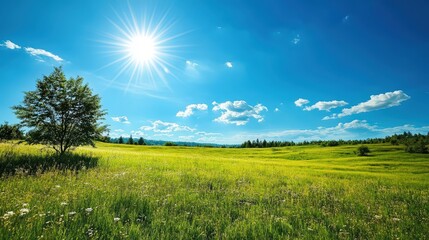 Obraz premium The midday sun shining brightly in a clear blue sky, illuminating a peaceful meadow