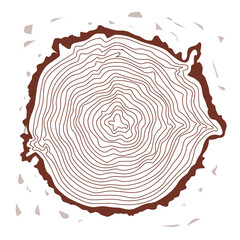 Tree trunk ring surface showing natural wood grain pattern texture, Illustration design for botanical or organic theme