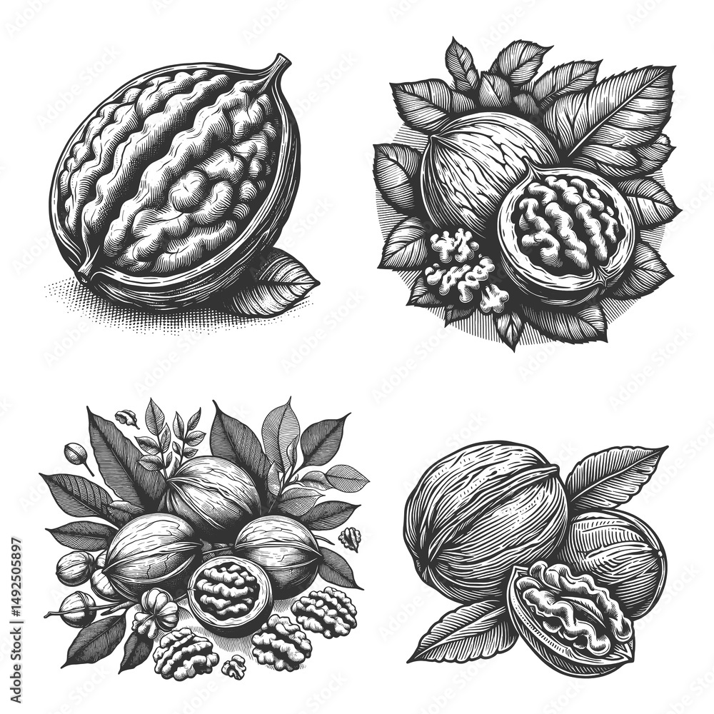 Poster walnuts with leaves set collection bundle sketch engraving generative ai raster illustration. scratc