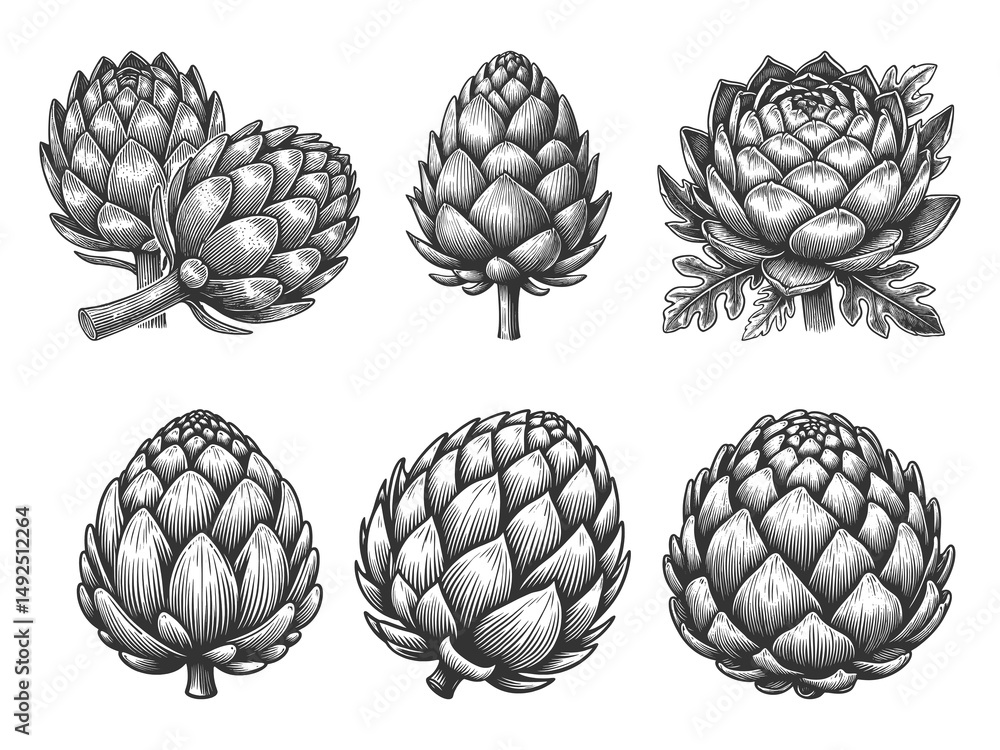 Poster artichoke set collection bundle sketch engraving generative ai raster illustration. scratch board im