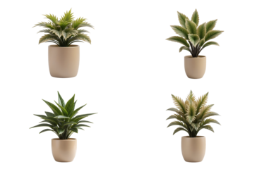 Ornamental artificial plant in beige pot