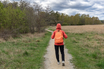 Woman tourist traveler with backpack walks through forest lake shore in nature spring. Trekking hiking trips tourism. Back view. Scandinavia paths trails. Active lifestyle. Sports recreation holidays.