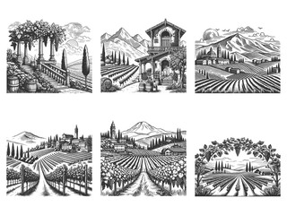 vineyards, wineries, grape fields, and rustic wine estates Set collection bundle sketch engraving generative ai raster illustration. Scratch board imitation. Black and white image.