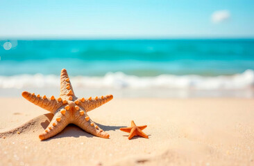 Tropical sandy beach background with seashells and empty space for text. Perfect for advertising, travel promotions, vacation themes, product displays, and marketing materials.