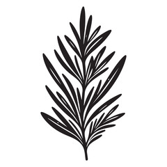 Botanical Rosemary Leaf Vector Simple Herb Culinary Art Design