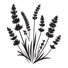 Lavender Silhouette Vector Illustration Floral Design Element