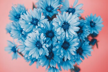 Obraz premium A vibrant bouquet of light blue flowers against a coral background.