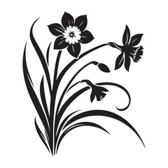 Narcissus Flower Silhouette Botanical Illustration Floral Spring Design