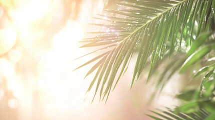 Beautiful blurred background of an exotic beach sunset with palm leaves
