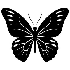 Black Silhouette of a Butterfly with Detailed Wings
