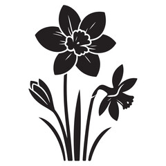Silhouette daffodil flower vector botanical art illustration for spring designs