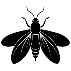 Black Silhouette of a Flying Insect with Large Wings