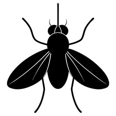 Black Silhouette of a House Fly Insect Vector Illustration