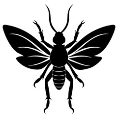 Black Silhouette of a Large Insect with Wings