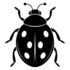 Obraz premium Black and White Ladybug Silhouette Illustration