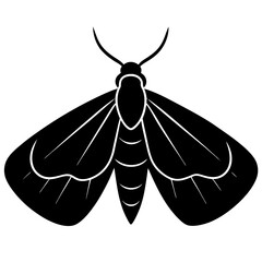 Black and White Silhouette of a Moth Insect