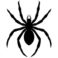 Obraz premium Black Spider Silhouette Vector Illustration Graphic